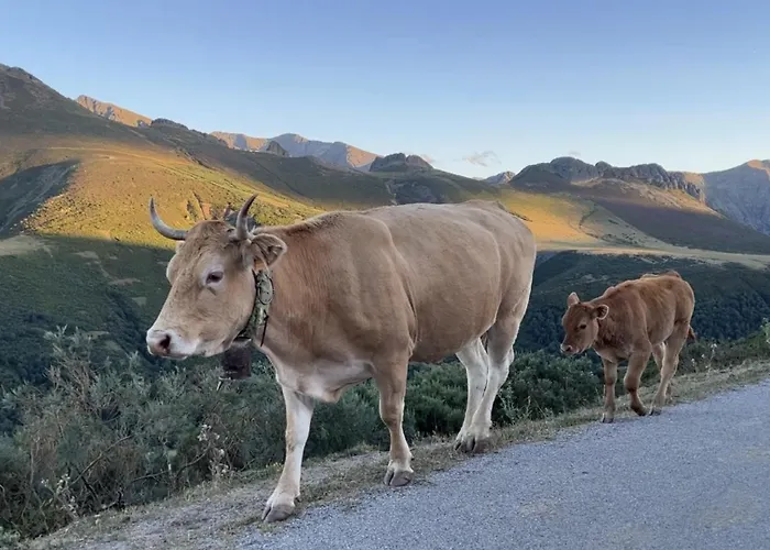 Estalagem La Trebede 2*