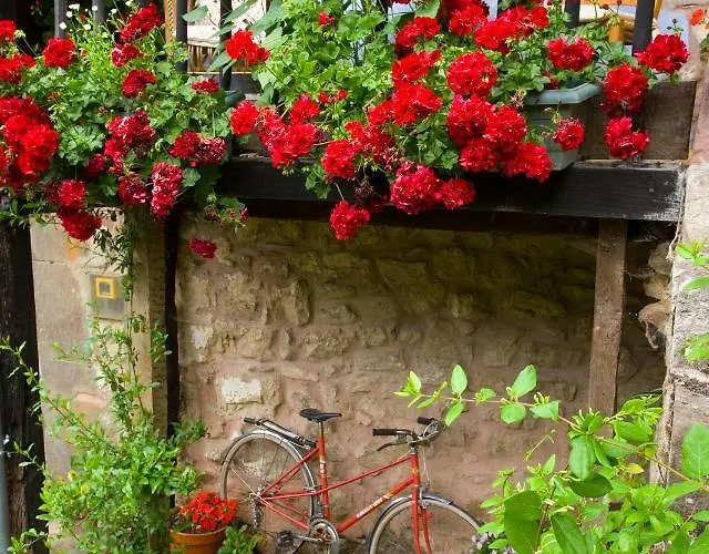 La Trebede 2* Perrozo